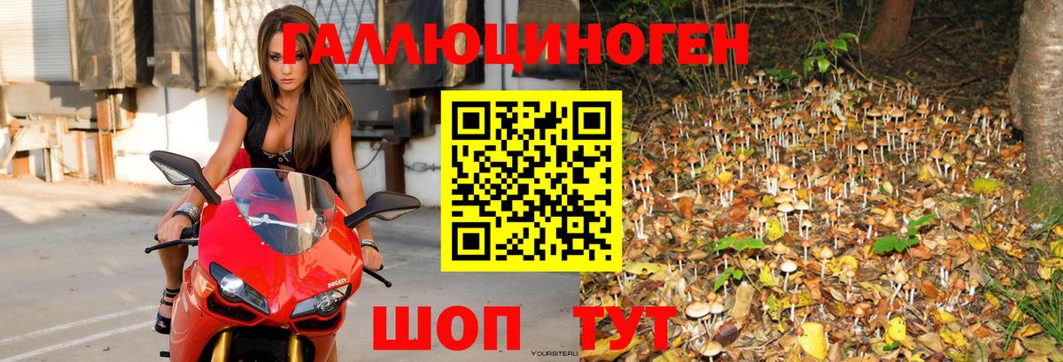 Галлюциногенные грибы Psilocybine cubensis  Галлюциногенные грибы мухоморы  Кызыл  Вход с VPN 